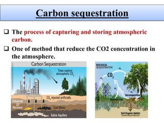  The process of capturing and storing atmospheric
carbon.
 One of method that reduce the CO2 concentration in
the atmosphere.
Carbon sequestration
 