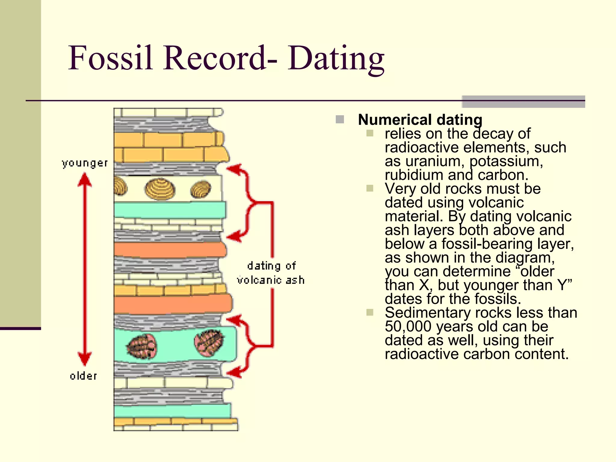 Evidence For Evolution | PPT
