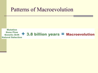 Evidence For Evolution | PPT