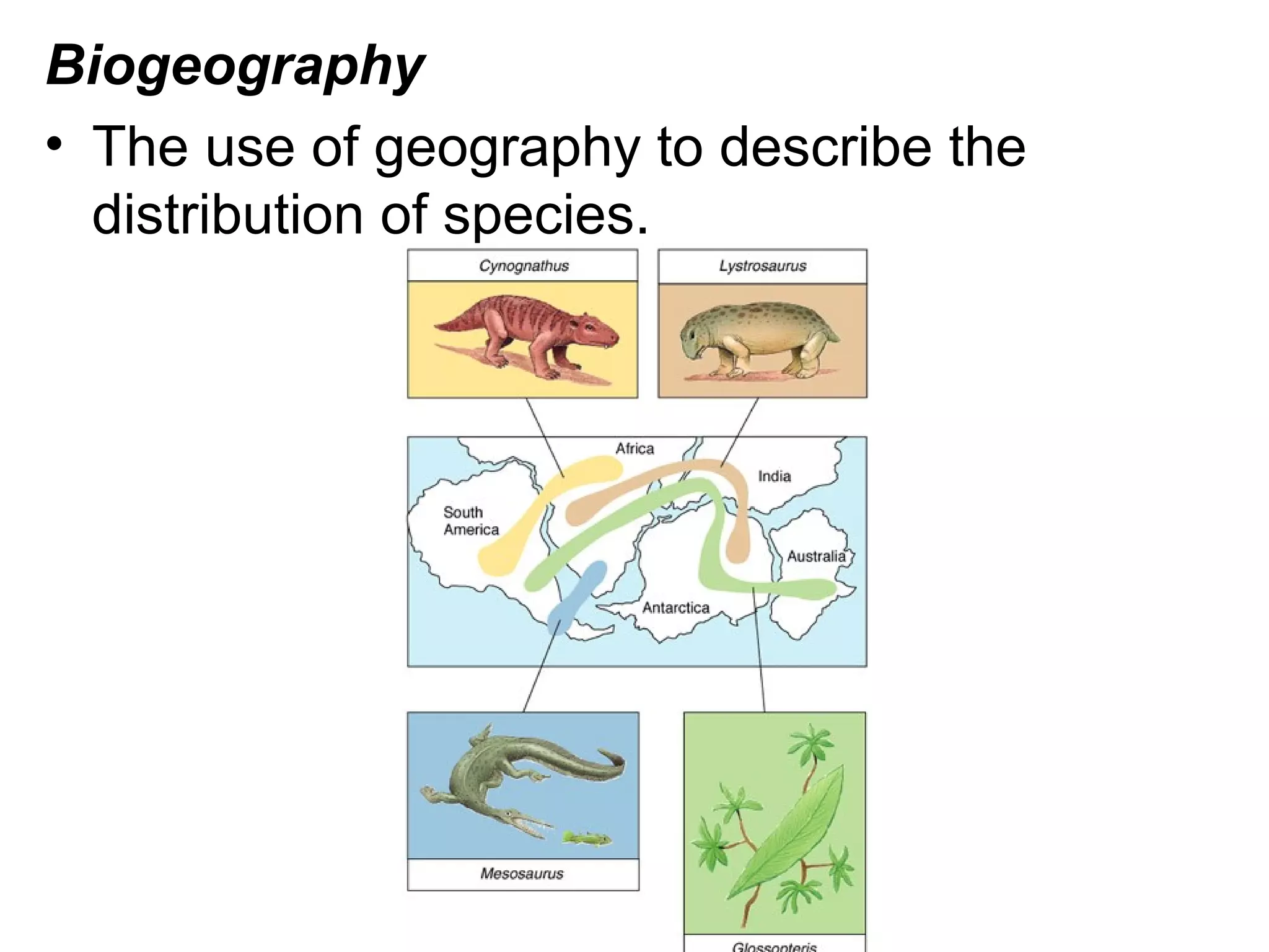 Biogeography
• The use of geography to describe the
distribution of species.
 