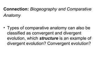 Connection: Biogeography and Comparative
Anatomy
• Types of comparative anatomy can also be
classified as convergent and divergent
evolution, which structure is an example of
divergent evolution? Convergent evolution?
 