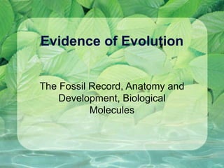 Evidence of Evolution The Fossil Record, Anatomy and Development, Biological Molecules 