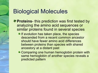 Evidence Of Evolution | PPT