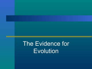 The Evidence for
   Evolution
 