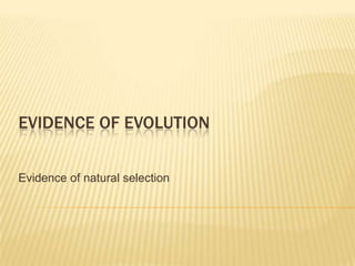 EVIDENCE OF EVOLUTION
Evidence of natural selection
 