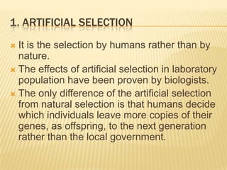 1. ARTIFICIAL SELECTION
 It is the selection by humans rather than by
nature.
 The effects of artificial selection in laboratory
population have been proven by biologists.
 The only difference of the artificial selection
from natural selection is that humans decide
which individuals leave more copies of their
genes, as offspring, to the next generation
rather than the local government.
 
