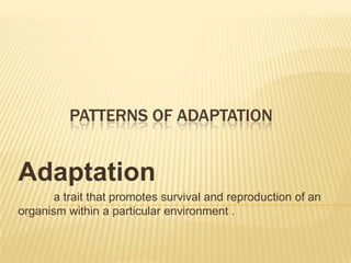 PATTERNS OF ADAPTATION
Adaptation
a trait that promotes survival and reproduction of an
organism within a particular environment .
 