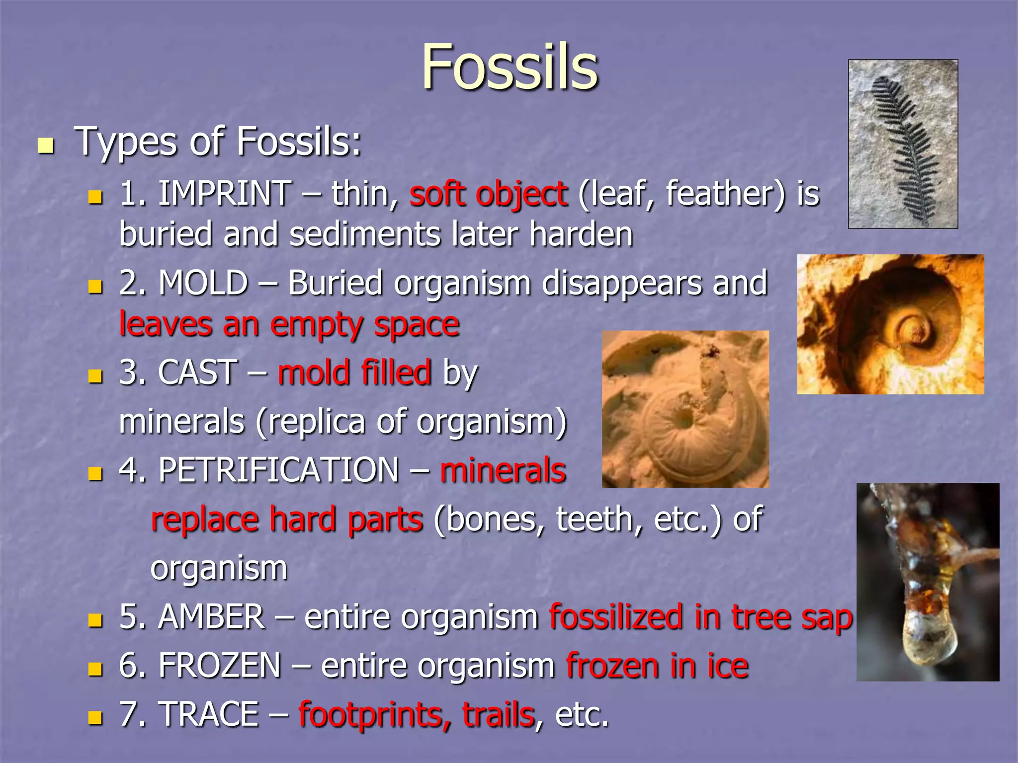Fossils
 Types of Fossils:
 1. IMPRINT – thin, soft object (leaf, feather) is
buried and sediments later harden
 2. MOLD – Buried organism disappears and
leaves an empty space
 3. CAST – mold filled by
minerals (replica of organism)
 4. PETRIFICATION – minerals
replace hard parts (bones, teeth, etc.) of
organism
 5. AMBER – entire organism fossilized in tree sap
 6. FROZEN – entire organism frozen in ice
 7. TRACE – footprints, trails, etc.
 