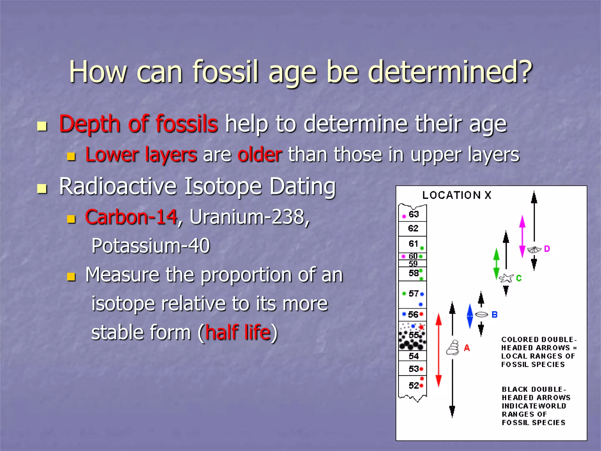 How can fossil age be determined?
 Depth of fossils help to determine their age
 Lower layers are older than those in upper layers
 Radioactive Isotope Dating
 Carbon-14, Uranium-238,
Potassium-40
 Measure the proportion of an
isotope relative to its more
stable form (half life)
 