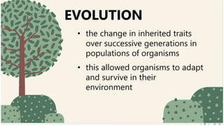 Evidence of Evolution.pptx