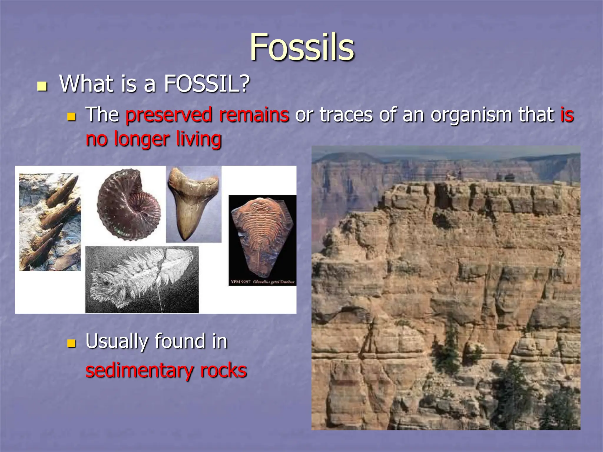 Fossils
 What is a FOSSIL?
 The preserved remains or traces of an organism that is
no longer living
 Usually found in
sedimentary rocks
 