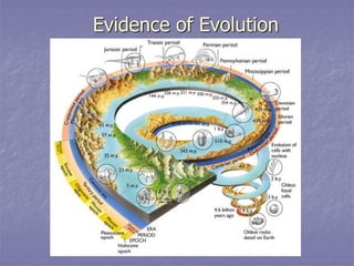 Evidence of Evolution
 