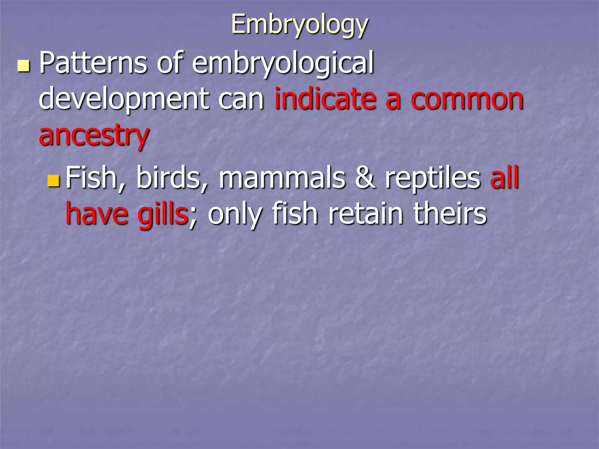 Embryology
 Patterns of embryological
development can indicate a common
ancestry
 Fish, birds, mammals & reptiles all
have gills; only fish retain theirs
 
