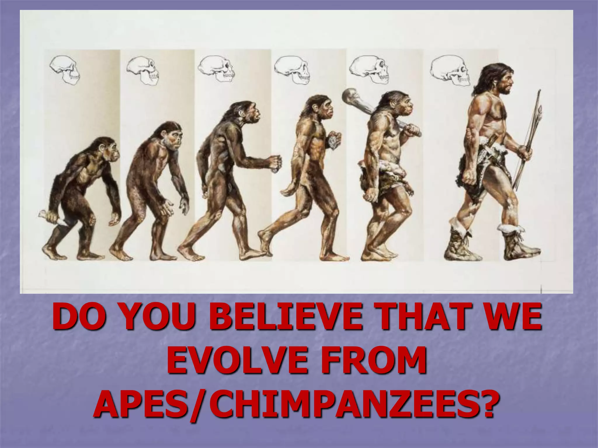 DO YOU BELIEVE THAT WE
EVOLVE FROM
APES/CHIMPANZEES?
 