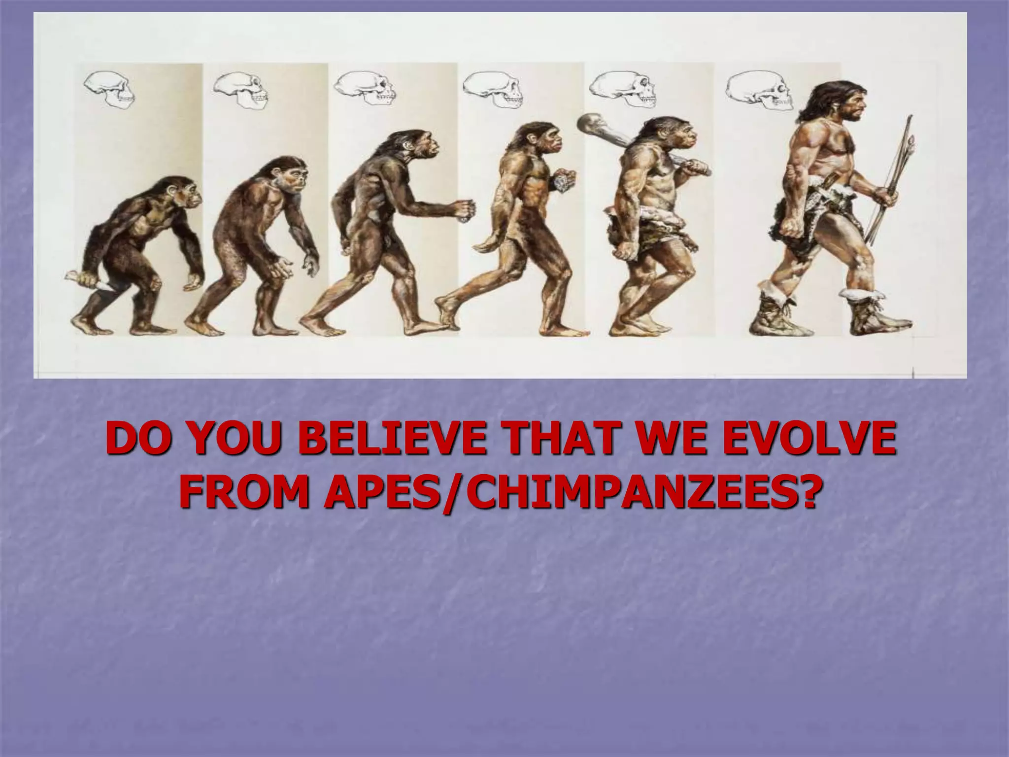 DO YOU BELIEVE THAT WE EVOLVE
FROM APES/CHIMPANZEES?
 