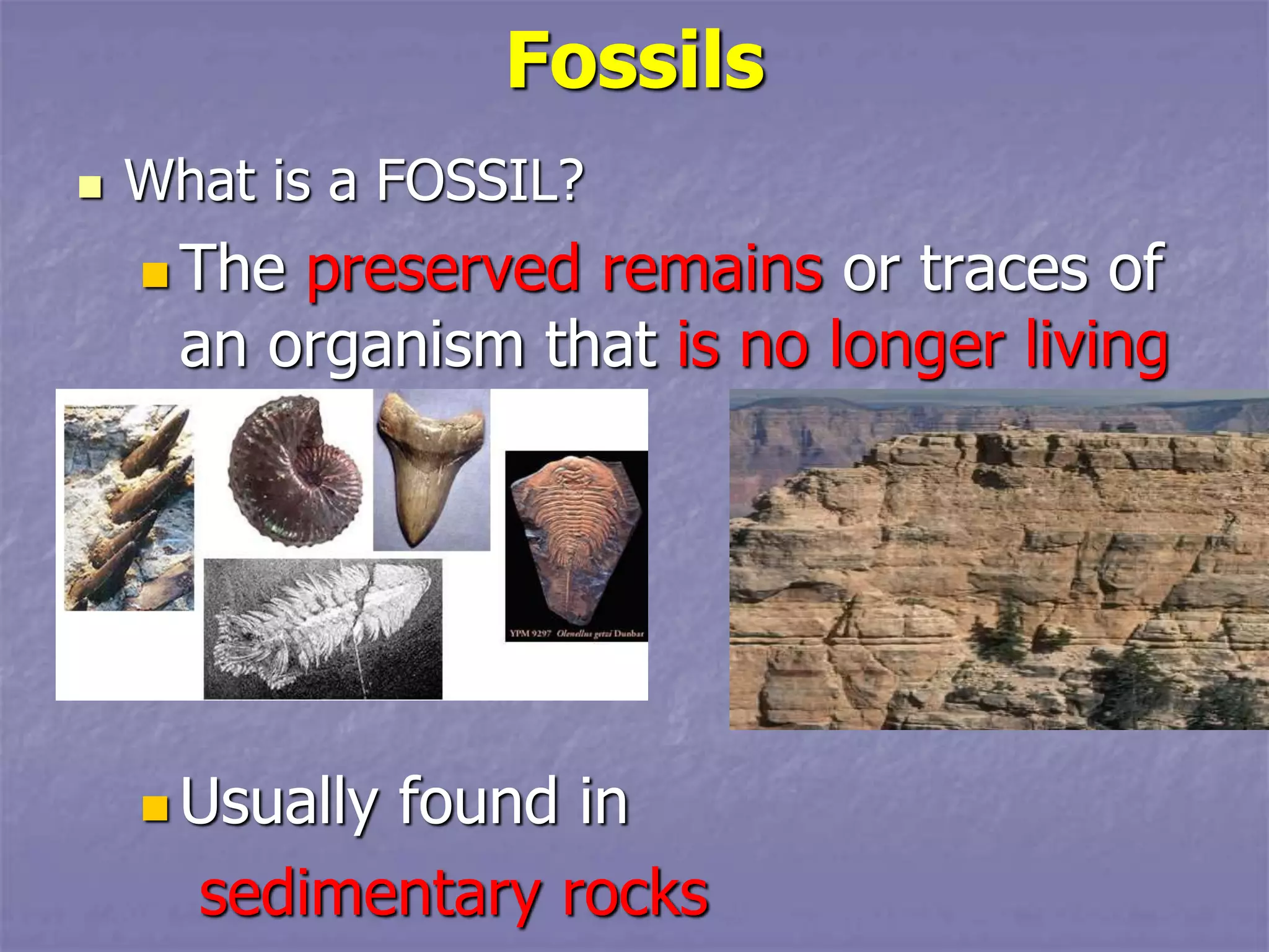 Fossils
 What is a FOSSIL?
 The preserved remains or traces of
an organism that is no longer living
 Usually found in
sedimentary rocks
 