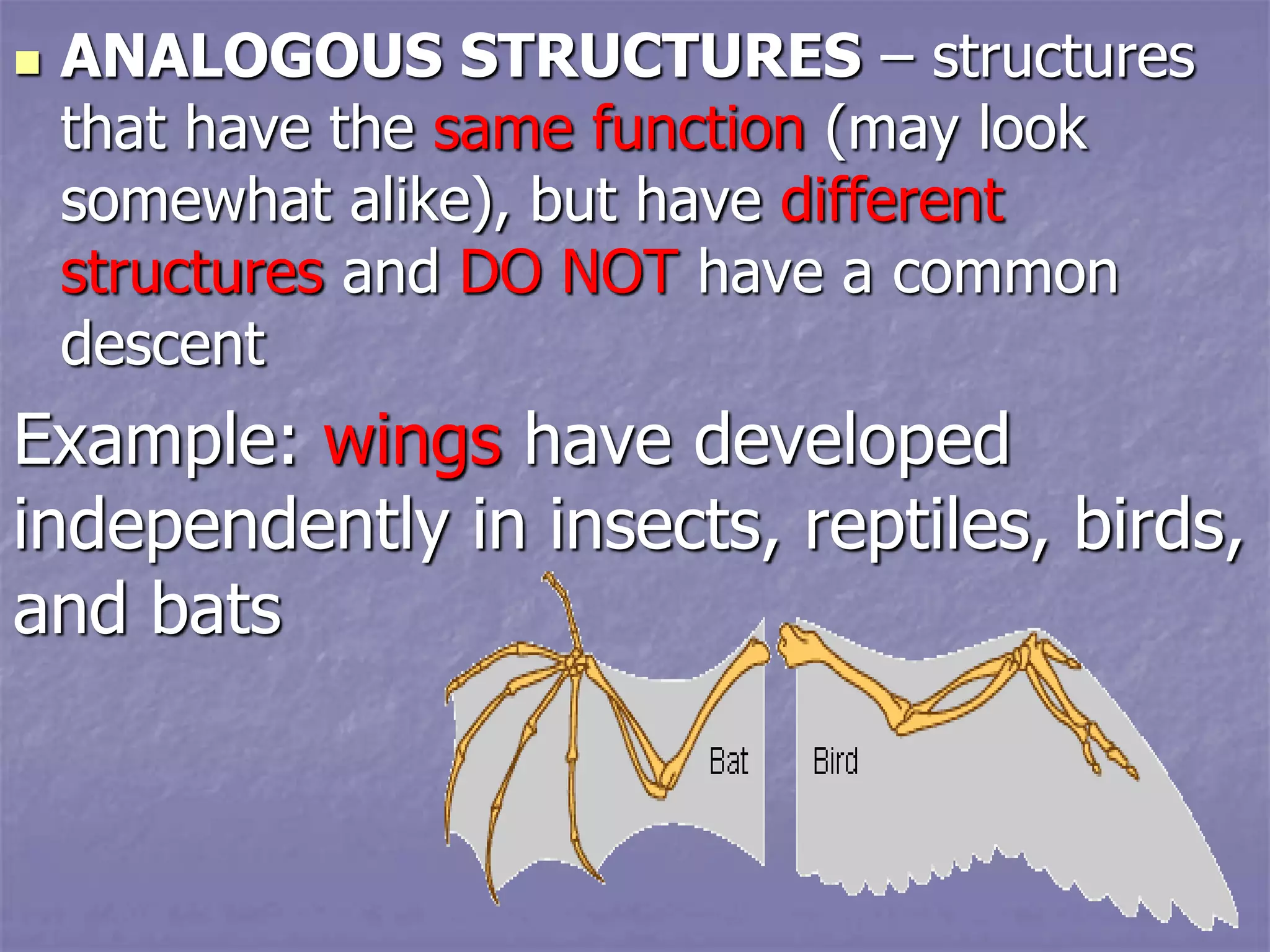  ANALOGOUS STRUCTURES – structures
that have the same function (may look
somewhat alike), but have different
structures and DO NOT have a common
descent
Example: wings have developed
independently in insects, reptiles, birds,
and bats
 