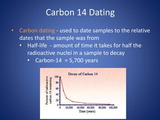 Carbon 14 Dating
• Carbon dating - used to date samples to the relative
dates that the sample was from
• Half-life - amount of time it takes for half the
radioactive nuclei in a sample to decay
• Carbon-14 = 5,700 years
 