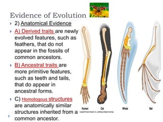 science 10 Evidence of Evolution 2nd.ppt