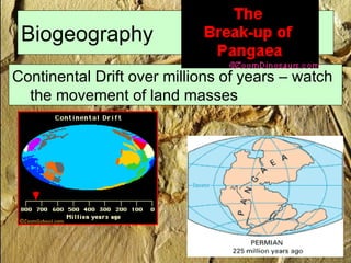 Biogeography
Continental Drift over millions of years – watch
the movement of land masses
 