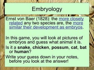 Embryology
Ernst von Baer (1828): the more closely
related any two species are, the more
similar their development as embryos.
In this game, you will look at pictures of
embryos and guess what animal it is.
Is it a snake, chicken, possum, cat, bat
or human?
Write your guess down in your notes,
before you look at the answer!
 