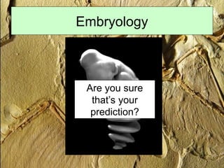 Embryology
Snake!
Are you sure
that’s your
prediction?
 