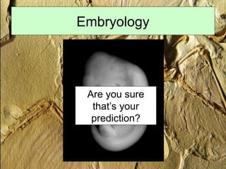 Embryology
Bat!
Are you sure
that’s your
prediction?
 