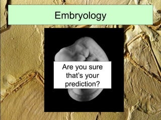 Embryology
Cat!
Are you sure
that’s your
prediction?
 