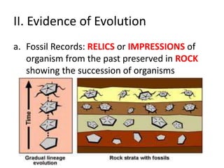 II. Evidence of Evolution
a. Fossil Records: RELICS or IMPRESSIONS of
   organism from the past preserved in ROCK
   showing the succession of organisms
 