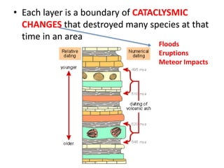 • Each layer is a boundary of CATACLYSMIC
  CHANGES that destroyed many species at that
  time in an area
                                 Floods
                                 Eruptions
                                 Meteor Impacts
 
