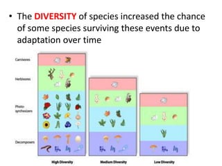 • The DIVERSITY of species increased the chance
  of some species surviving these events due to
  adaptation over time
 