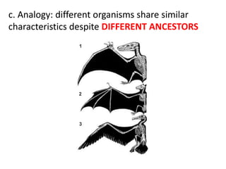 c. Analogy: different organisms share similar
characteristics despite DIFFERENT ANCESTORS
 