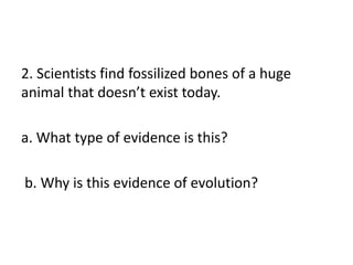 2. Scientists find fossilized bones of a huge
animal that doesn’t exist today.

a. What type of evidence is this?

b. Why is this evidence of evolution?
 
