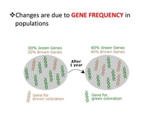 Changes are due to GENE FREQUENCY in
 populations
 