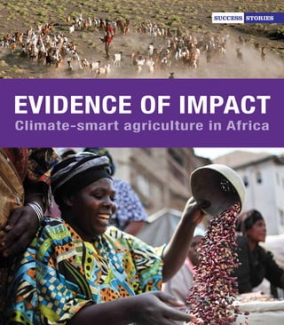 Evidence of impact
Climate-smart agriculture in Africa
SUCCESS STORIES
 