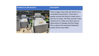 Evidence of safe practice Description
These images show that the lizard is in a
controlled environment. There was 2
people around the lizard to make sure it
did not run away. The floor around it was
cleared out to make sure there was no
obstructions to people and the tripod.
This is where the horizontal theatrical
poster picture was taken.
 