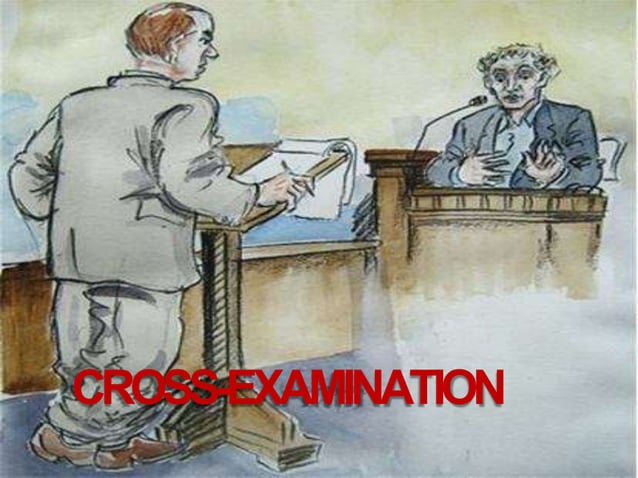 Examination Of Witness Pptx Law