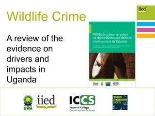 1
Wildlife Crime
A review of the
evidence on
drivers and
impacts in
Uganda
 