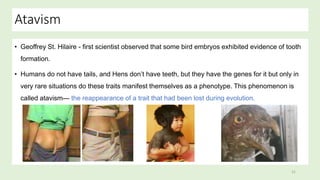 EVIDENCES FOR EVOLUTION...............pptx