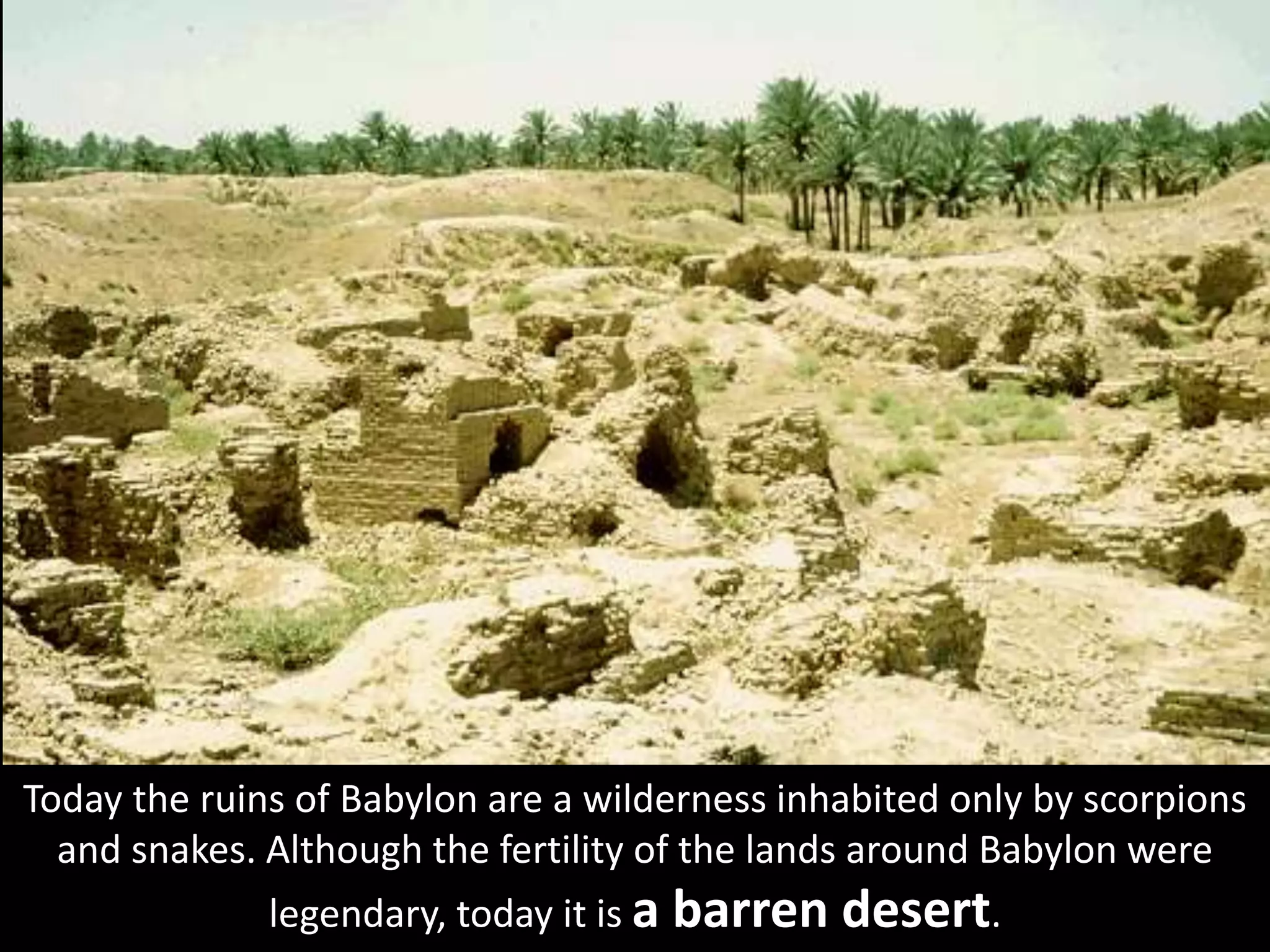 Today the ruins of Babylon are a wilderness inhabited only by scorpions
and snakes. Although the fertility of the lands around Babylon were
legendary, today it is a barren desert.
 