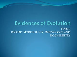 Evidences of Evolution FOSSIL RECORD, MORPHOLOGY, EMBRYOLOGY, AND BIOCHEMISTRY 