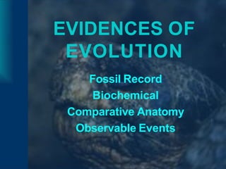 EVIDENCES OF
EVOLUTION
Fossil Record
Biochemical
Comparative Anatomy
Observable Events
 