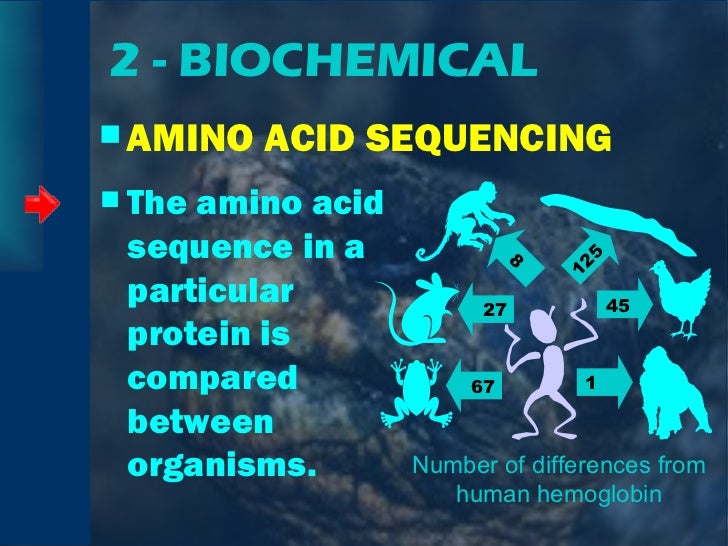 Evidences of evolution