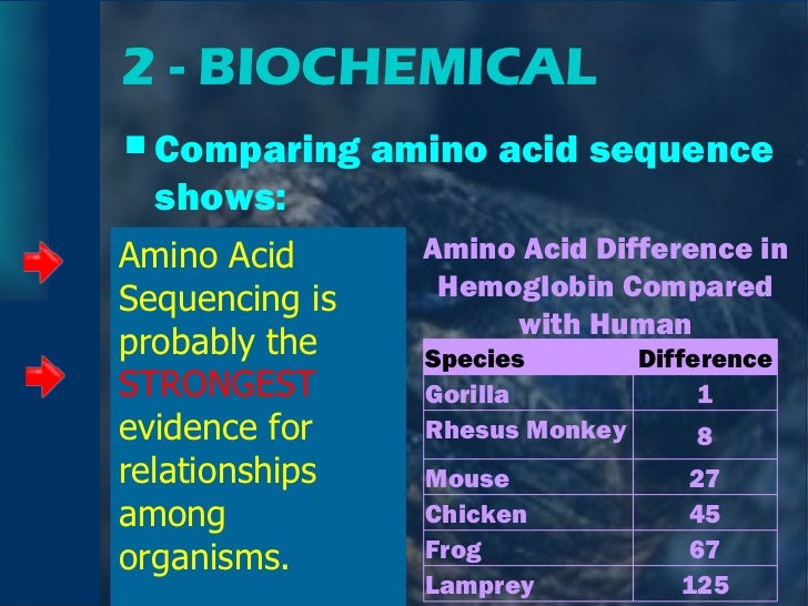 Evidences of evolution