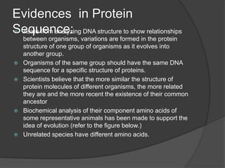 Evidences of evolution | PPTX