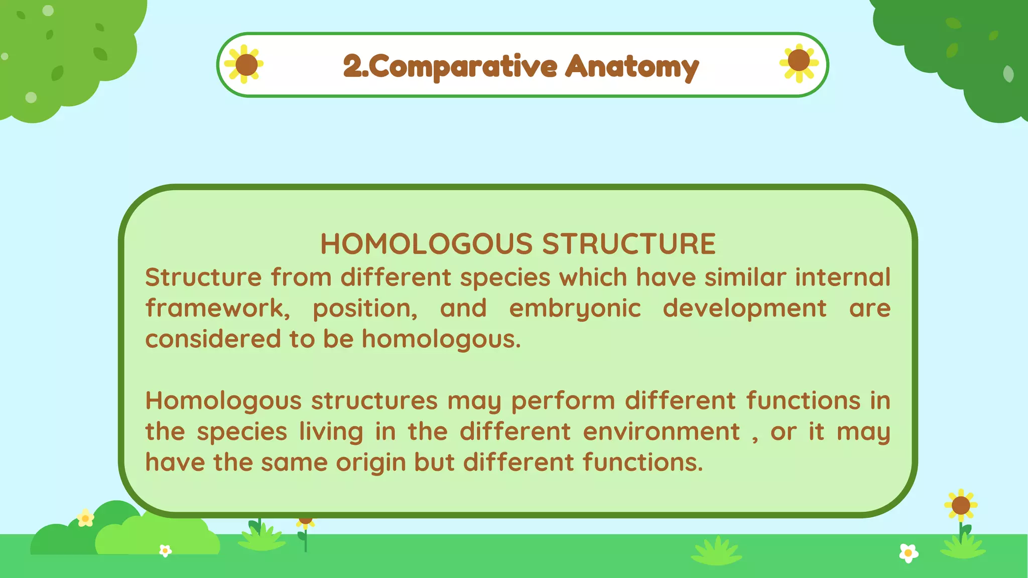 2.Comparative Anatomy
HOMOLOGOUS STRUCTURE
Structure from different species which have similar internal
framework, position, and embryonic development are
considered to be homologous.
Homologous structures may perform different functions in
the species living in the different environment , or it may
have the same origin but different functions.
 