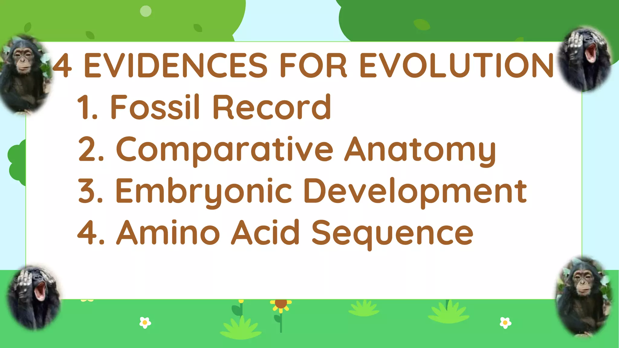 4 EVIDENCES FOR EVOLUTION
1. Fossil Record
2. Comparative Anatomy
3. Embryonic Development
4. Amino Acid Sequence
 