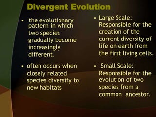 Evidences of Evolution.pptx
