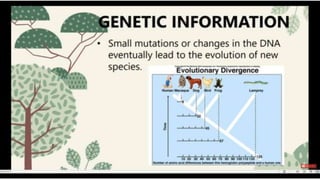 Science 10: Quarter 4 Evidences of Evolution.pptx