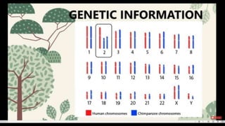 Science 10: Quarter 4 Evidences of Evolution.pptx